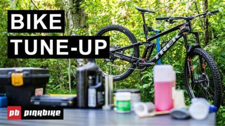 When should I tune up my bike?