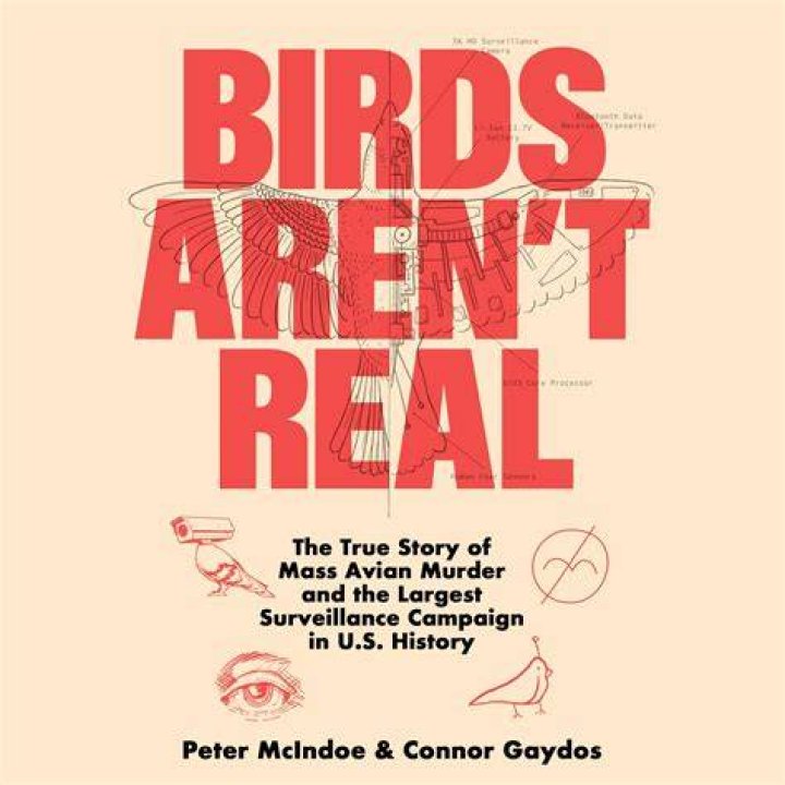 Who Is “Birds Aren’t Real” Founder Peter McIndoe And Where Is He From? Know About His Family Origin